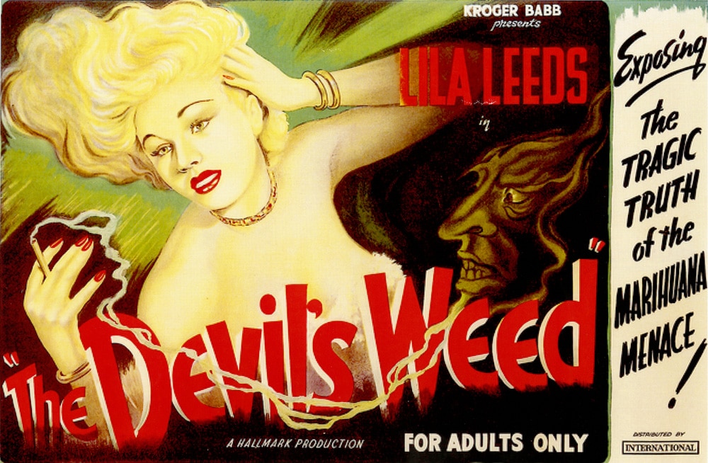 devil's weed
