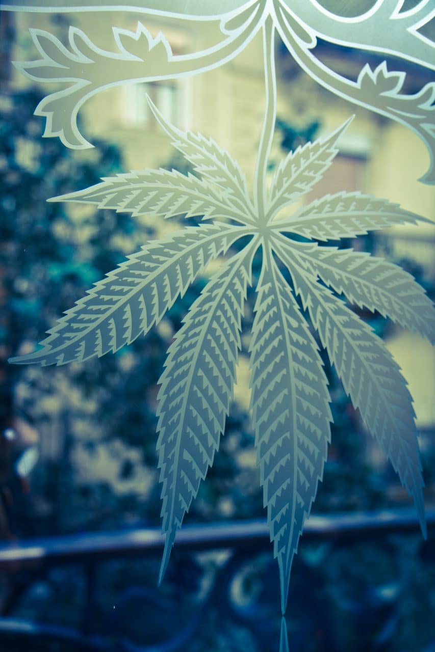 cannabis window